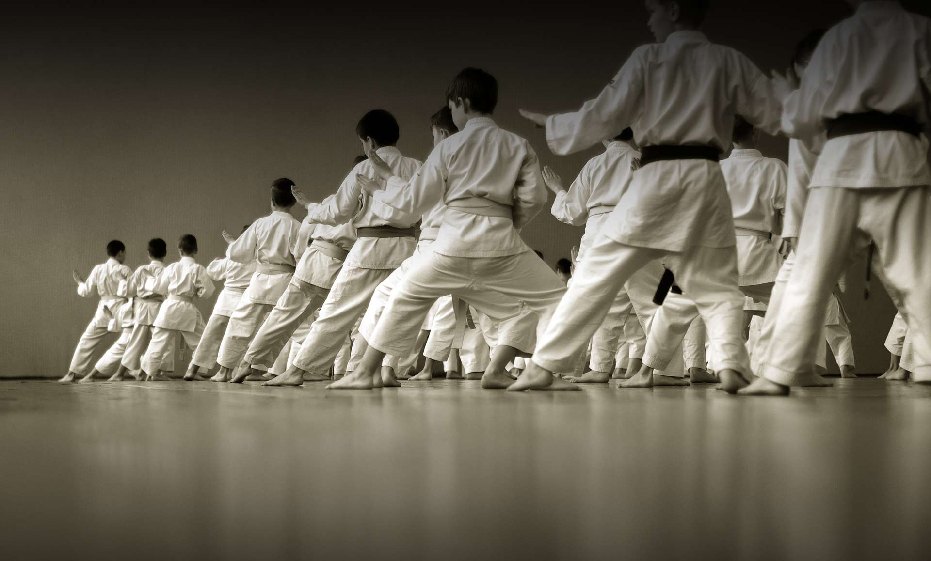 Karate students lined up in fighting stance